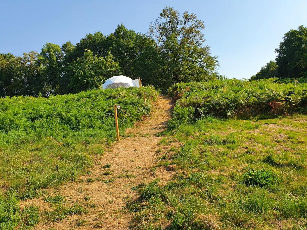 Moulin Du Pommier Glamping & Camping Saulgond Exterior photo